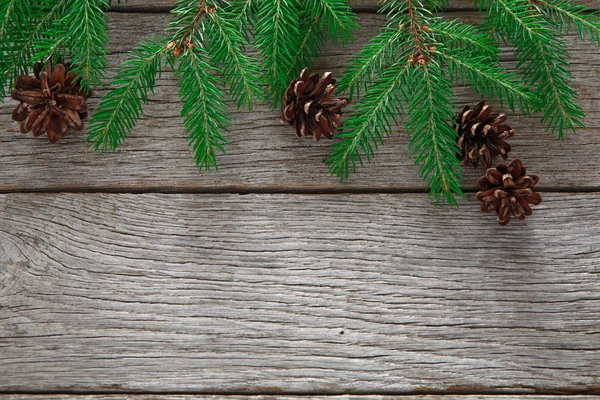 Árbol de navidad ramas fondo —  Fotos de Stock