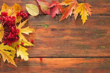 Sonbahar akçaağaç sarı yaprakları ve ahşap arka plan üzerinde çilek