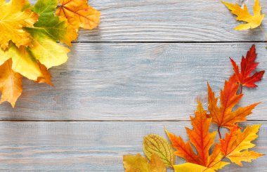 Sonbahar sezonu arka plan, canlı akçaağaç yaprakları