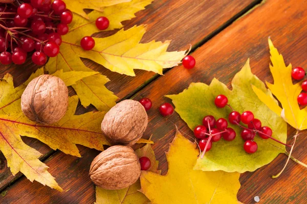 Herbst Ahorn gelbe Blätter auf Holz Hintergrund — Stockfoto