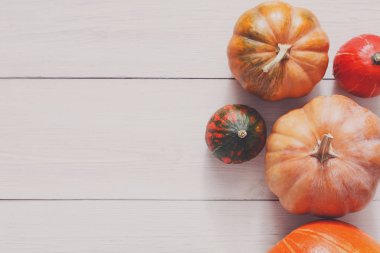 Beyaz tahta arka plan ile kopya alanı üzerinde kabaklar