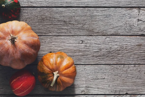 Kopya alanı gri ahşap zemin üzerine kabaklar