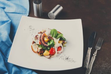 Salata sebze ve ahtapot top ile göster