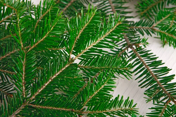 Noel ağacı dalları arka planda