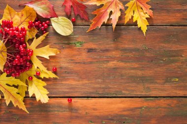 Sonbahar akçaağaç sarı yaprakları ve ahşap arka plan üzerinde çilek