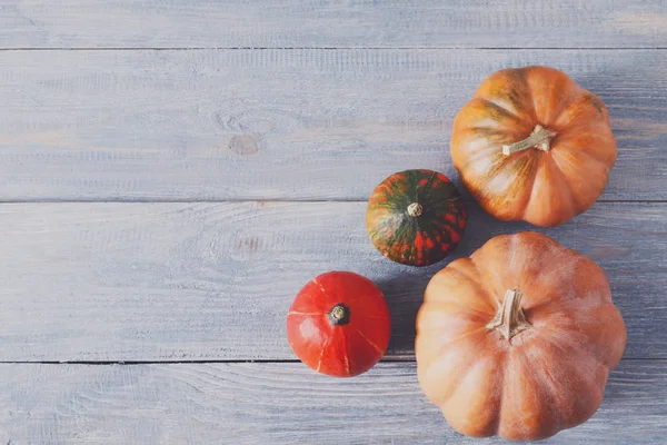 Güz pumpkins arka plan kopya alanı ile