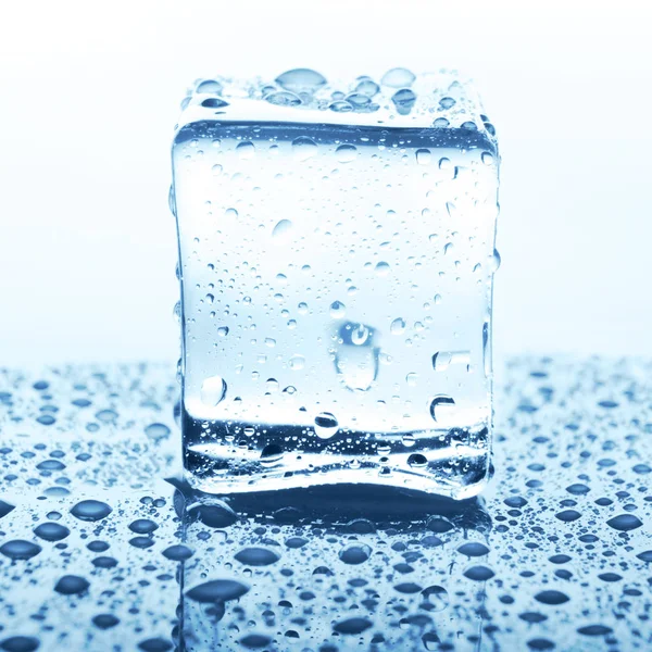 Cubo de gelo transparente com reflexão sobre branco — Fotografia de Stock