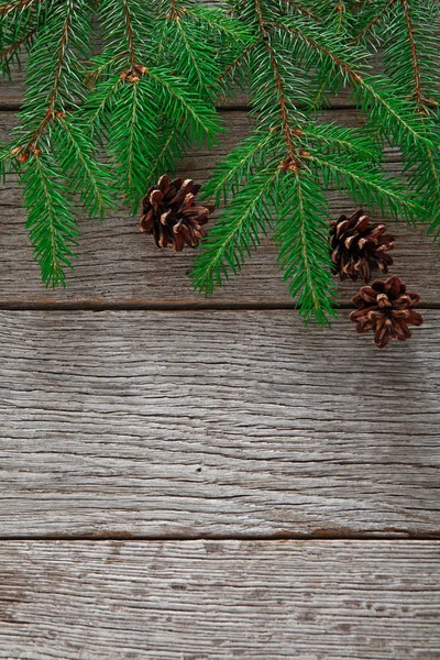 Vánoční strom větve pozadí — Stock fotografie