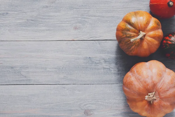 Kopya alanı mavi ahşap zemin üzerine kabaklar