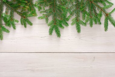 Noel ağacı dalları arka planda