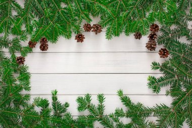 Arka plan Christmas tree dalları çerçeve