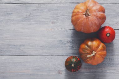 Güz pumpkins arka plan kopya alanı ile