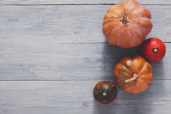 Güz pumpkins arka plan kopya alanı ile