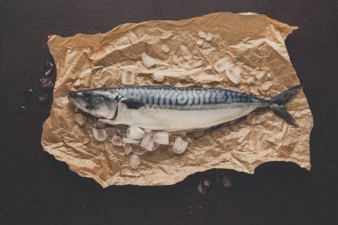 Siyah arka plan, Kraft kağıt üzerinde taze uskumru