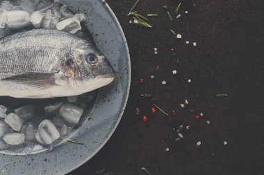 Siyah arka plan, buz tabakta taze dorado