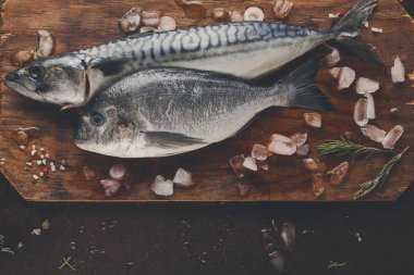 Ahşap tahta at kahverengi zemin üzerinde taze uskumru