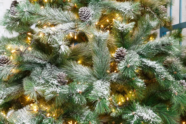 Kerstboom vakantie achtergrond, close-up — Stockfoto