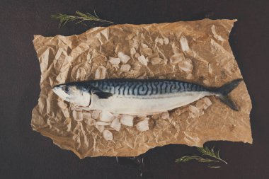 Siyah arka plan, Kraft kağıt üzerinde taze uskumru