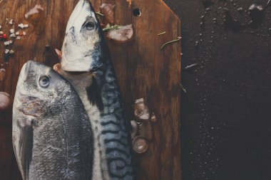 Ahşap tahta at siyah arka plan üzerinde taze uskumru