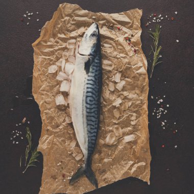 Siyah arka plan, Kraft kağıt üzerinde taze uskumru