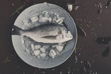 Siyah arka plan, buzlu tabakta taze dorado