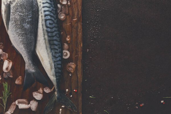 Свежая скумбрия на деревянной доске на черном фоне
