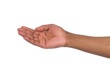 Beyaz arka plan üzerinde izole palmiye açık tutan adam