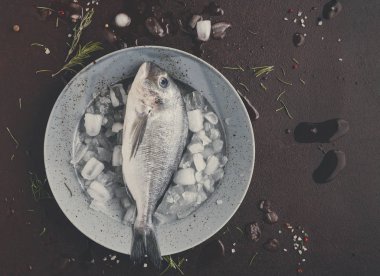 Siyah arka plan, buzlu tabakta taze dorado