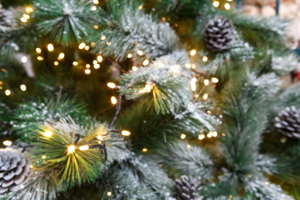 Kerstboom vakantie achtergrond, close-up — Stockfoto
