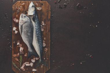 Ahşap tahta at kahverengi zemin üzerinde taze uskumru