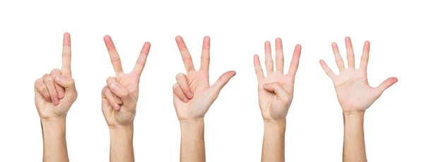 Set di mani da uomo bianco. Mano maschile mostra le cifre, contando — Foto Stock