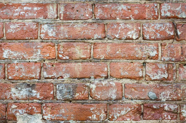 Red brick wall background and texture — Stock Photo, Image