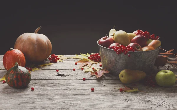 Herbst-Ernte und Erntedankkarte Hintergrund — Stockfoto