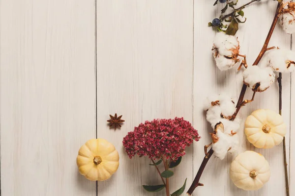 Herbst Rahmen aus getrockneten Blumen auf weißem Holz Hintergrund — Stockfoto