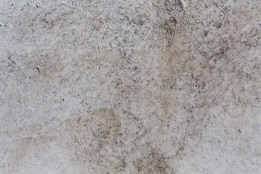 Soyut gri yumuşak doku beton