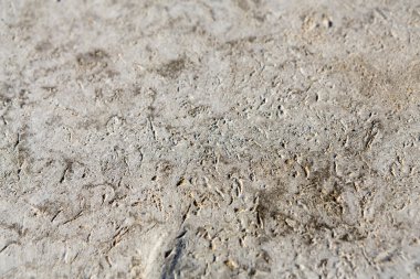 Soyut gri yumuşak doku beton