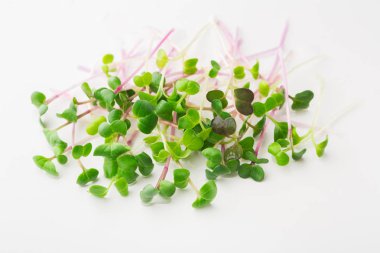 İzole mikro Yeşiller lahanası Üstten Görünüm