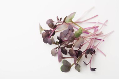 Beyaz izole mikro Yeşiller Üstten Görünüm