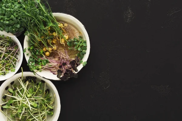 Mikro yeşillik çeşitleri