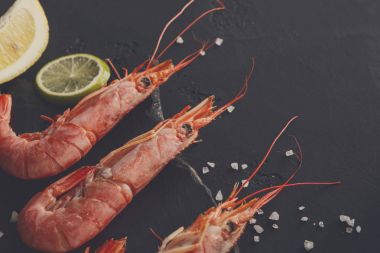 Siyah arka plan üzerine limon ve tuz ile karides