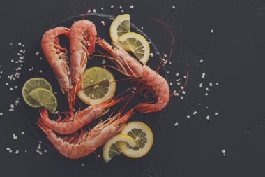 Siyah arka plan üzerine limon ve tuz ile karides