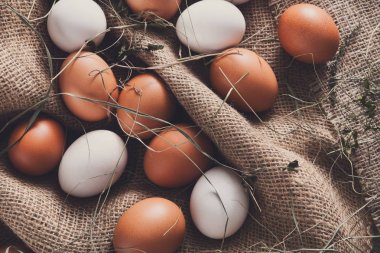Keten, organik tarım arka plan üzerinde taze tavuk kahverengi yumurta