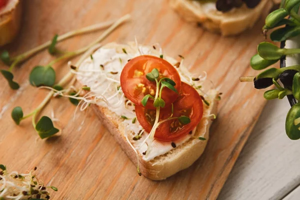Різноманітність здорових вегетаріанських бутербродів — стокове фото