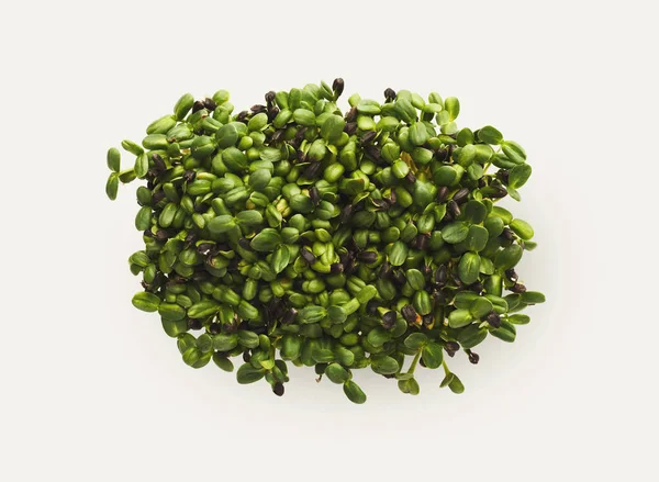 Micro greens growing in plastic bowl top view, isolated — Stock Photo, Image