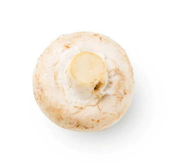 Beyaz arka plan kesme izole champignon — Stok fotoğraf