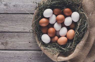 Çuval, organik arka plan tarım taze tavuk kahverengi yumurta