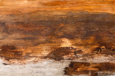 Kahverengi doğal ahşap doku closeup arka plan