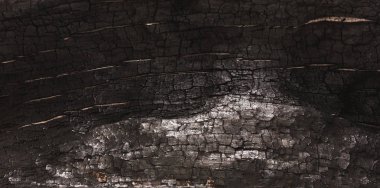 Koyu gri veya siyah ahşap doku closeup arka plan