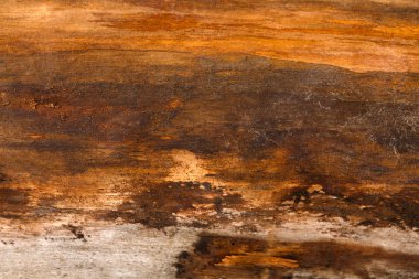 Kahverengi doğal ahşap doku closeup arka plan