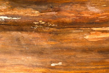 Kahverengi doğal ahşap doku closeup arka plan